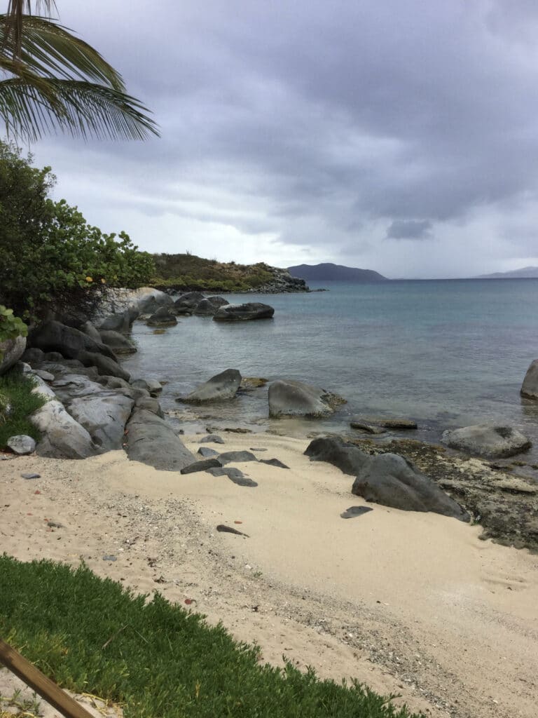 Scenery1 768x1024